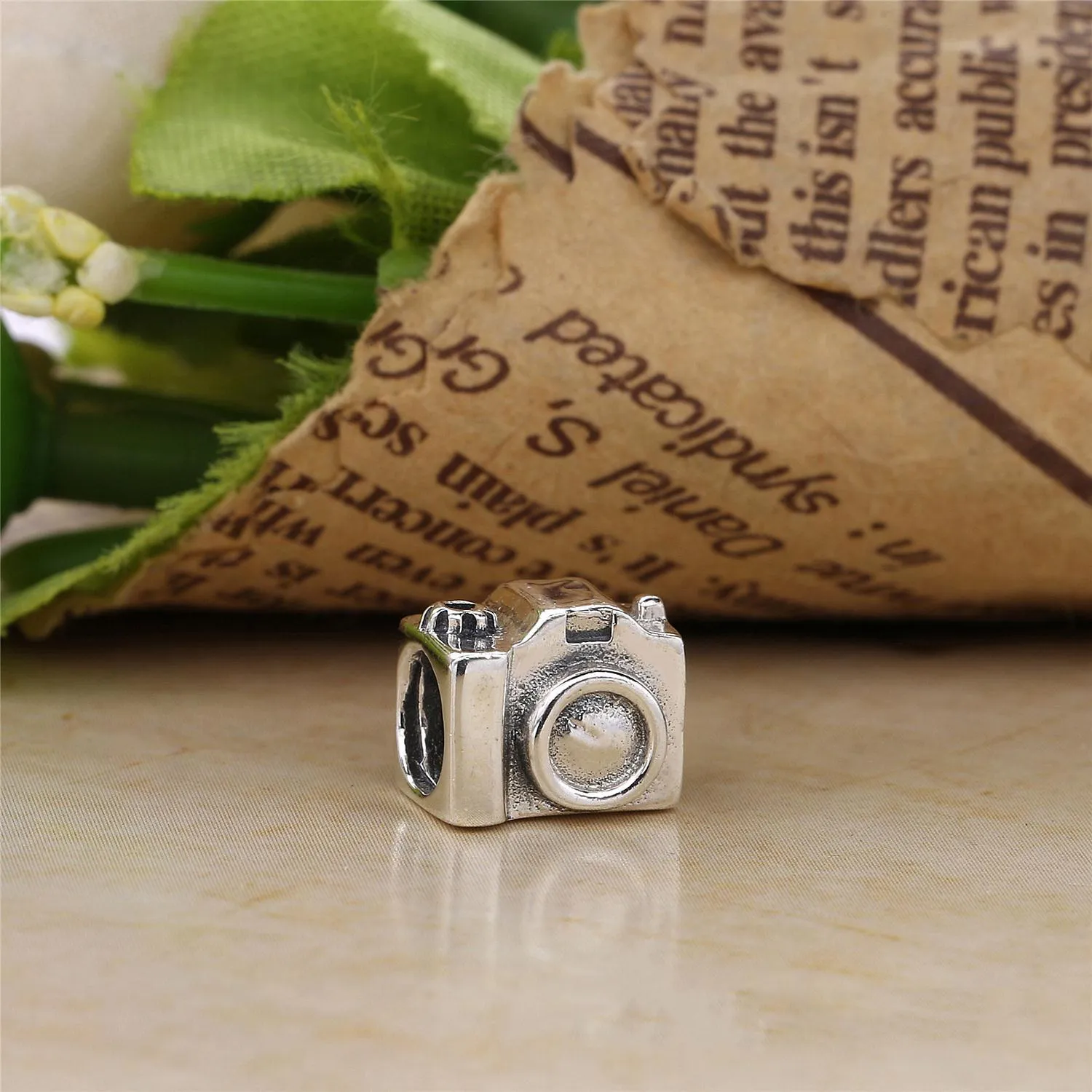 Pandora Camera Charm - 790961