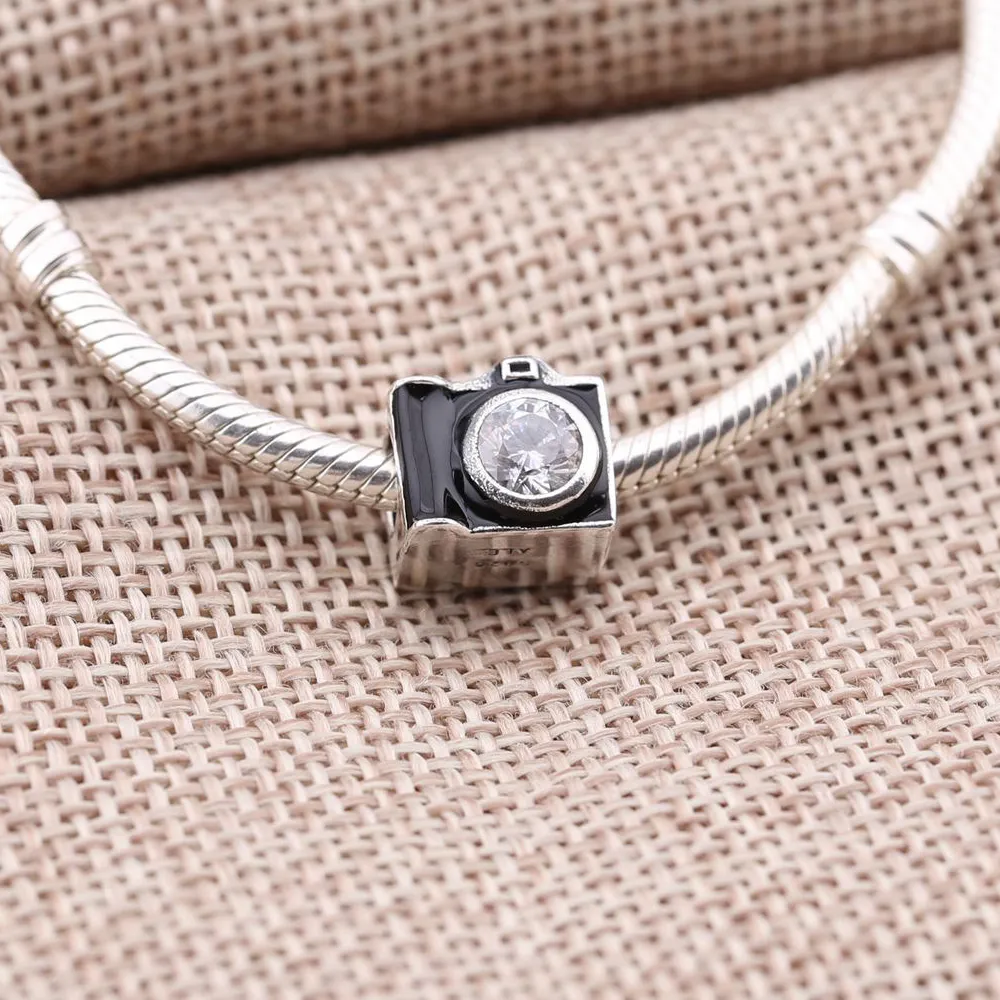 Pandora Sentimental Snapshots Charm - 791709CZ