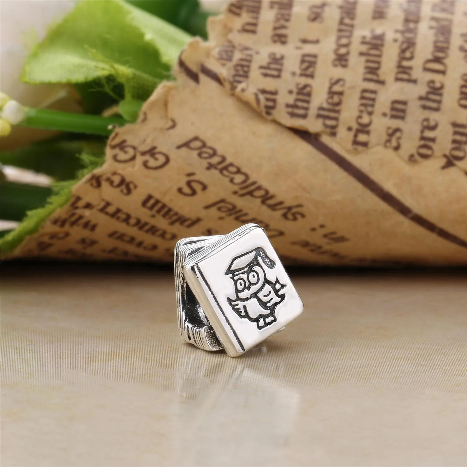 Pandora Studiebok Charm - 790536